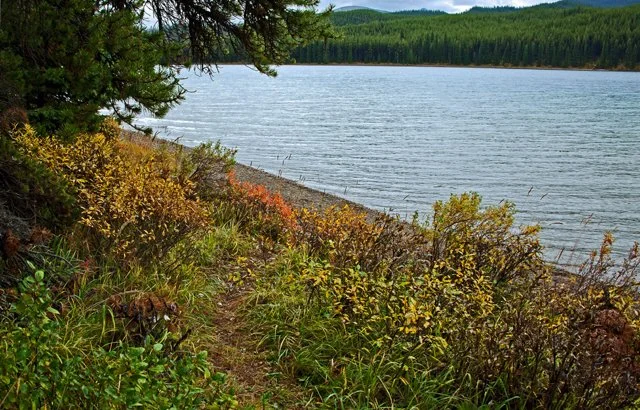 2011 Schaffer Trail-040