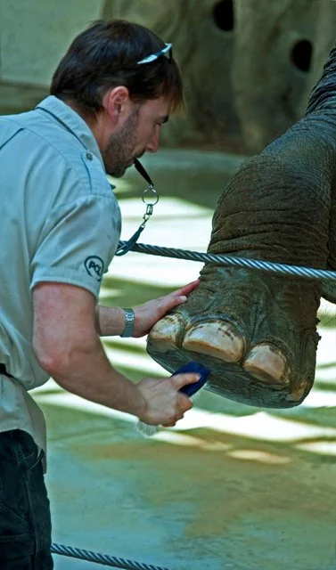 2011 Calgary Zoo-100