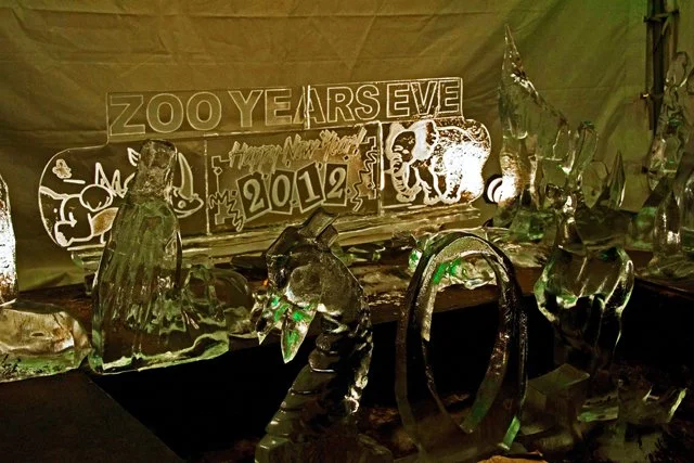 Zoolights-059.jpg