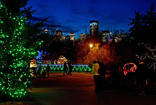 Zoolights-025.jpg