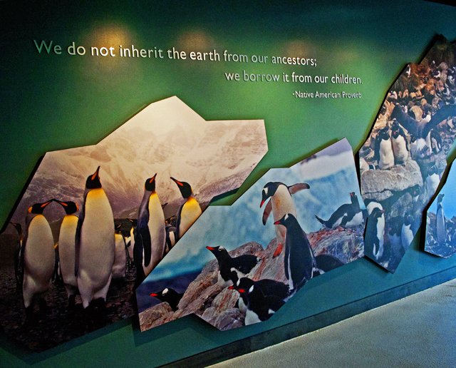 2012 Penguin Plunge-030