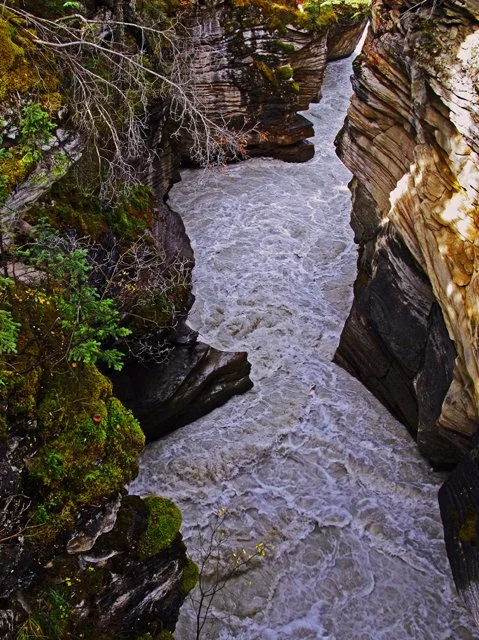 Athabasca-256.jpg