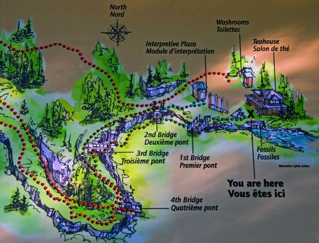 2012 Canyon Walk-440