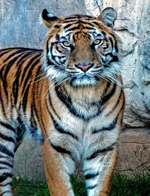 FW Zoo-064.jpg