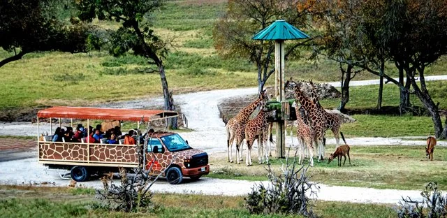 Fossil Rim-208.jpg