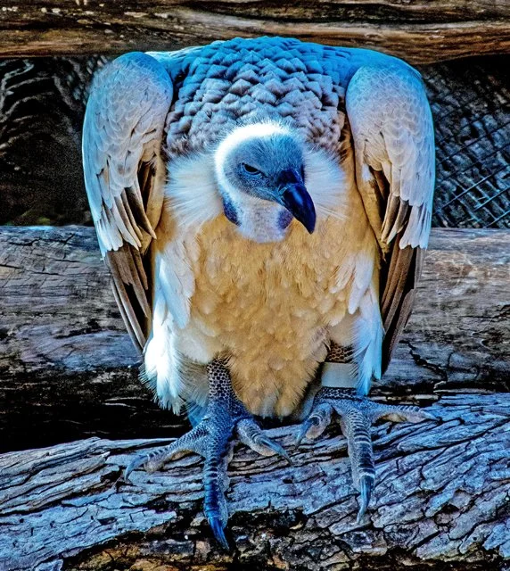 FW Zoo-133.jpg