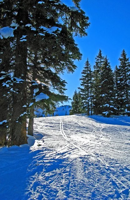 ColoSki09-085.jpg