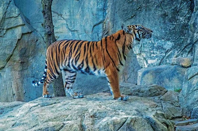 FW Zoo-061.jpg