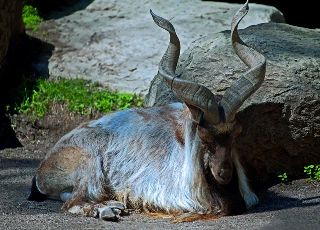 2012 Calgary Spring-080