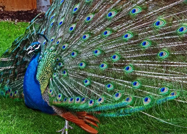 2012 Calgary Spring-190