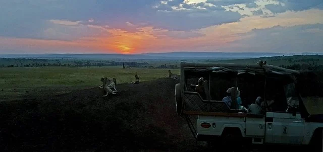 Jennifer Bartlett-156