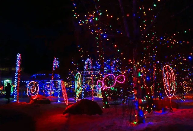 Zoolights-109.jpg