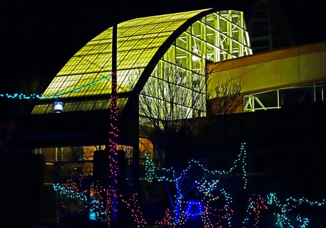 2013 Calgary Zoolights-150
