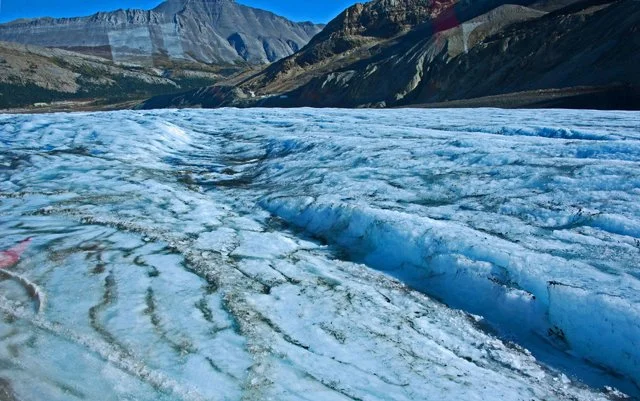 Icefield-163.jpg