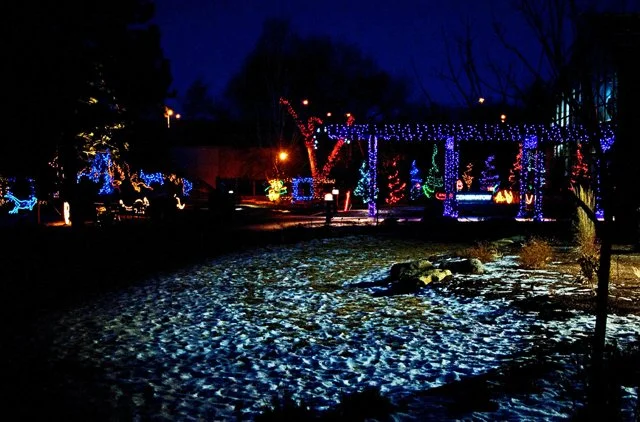 Zoolights-132.jpg