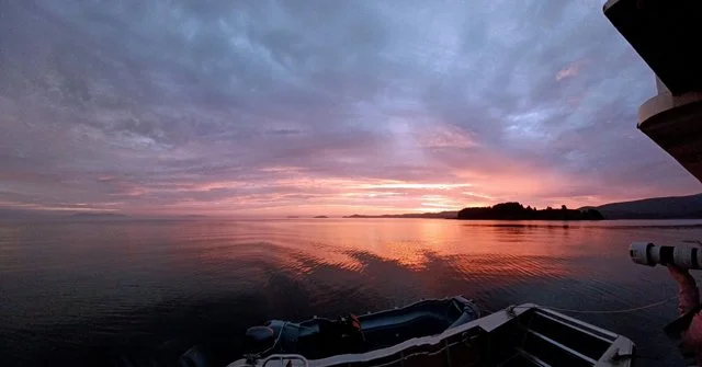 Day 06-005.jpg