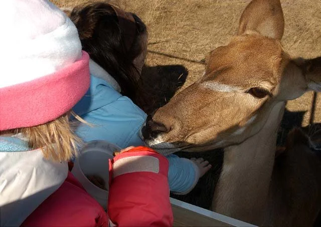 2003 Fossil Rim-116.JPG