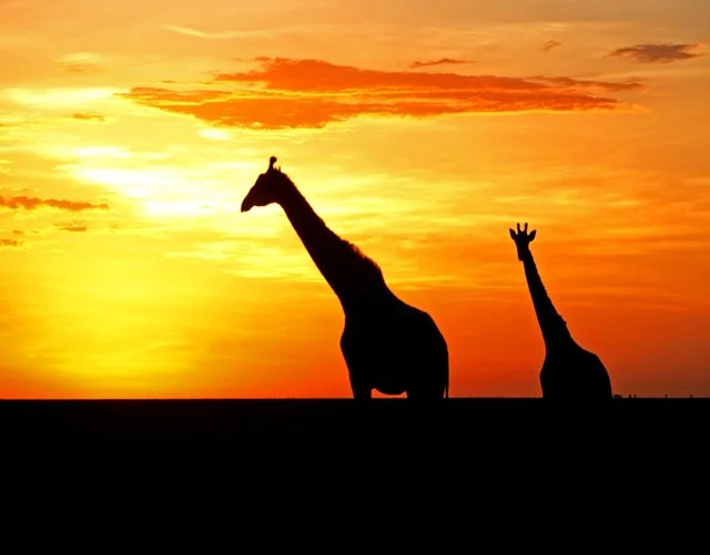 2018 Day 09-190