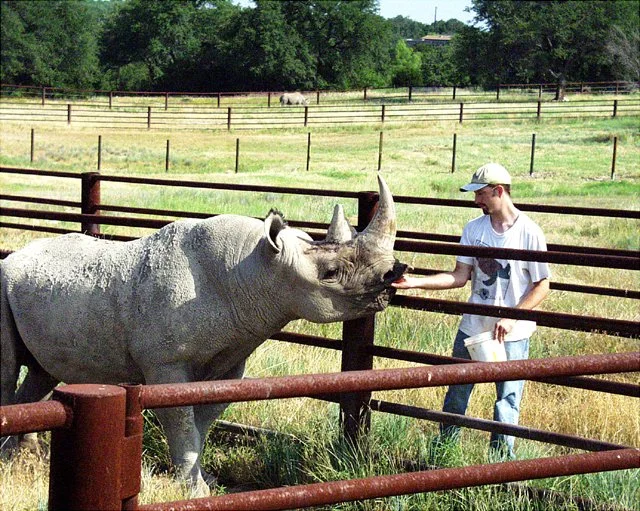 2001 Fossil Rim-026.jpg