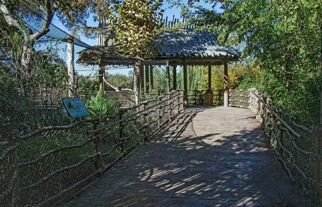 FW Zoo-054.jpg