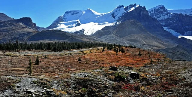 Icefields-007.jpg