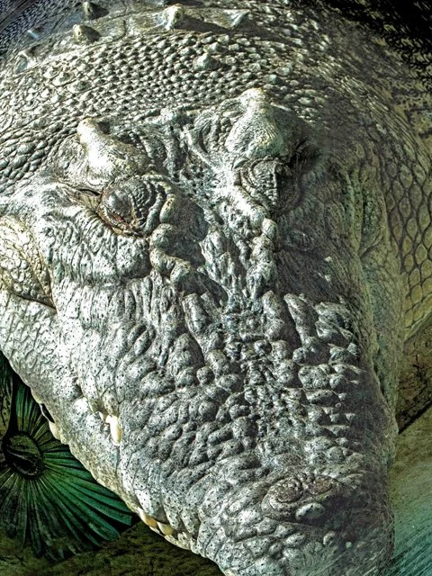 FW Zoo-094.jpg