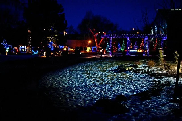Zoolights-131.jpg