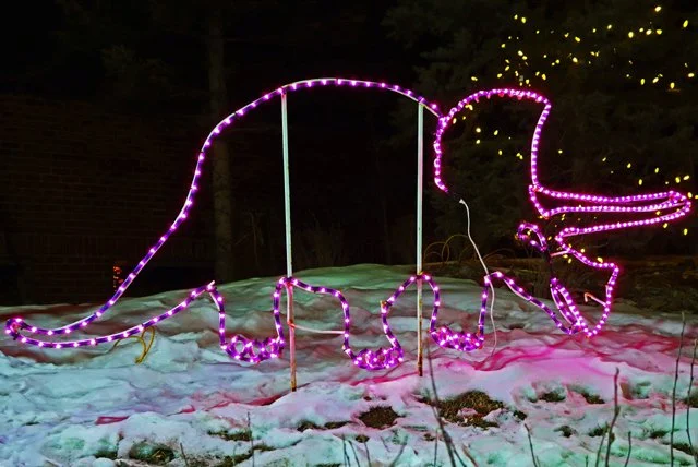 Zoolights-024.jpg