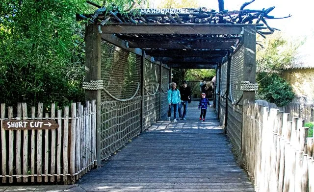 FW Zoo-138.jpg
