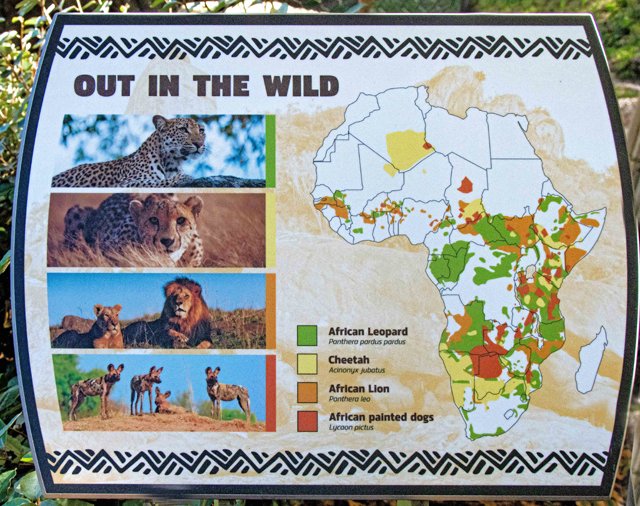 2024 FW Zoo-070