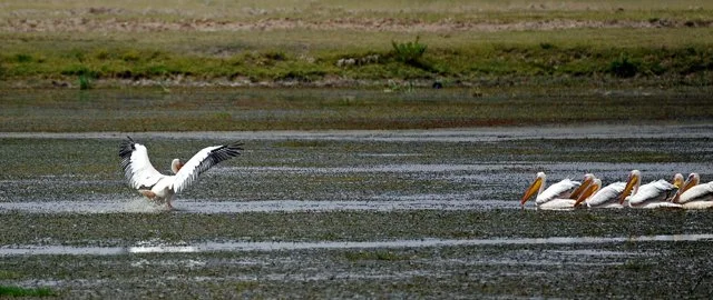Day 05-204.jpg
