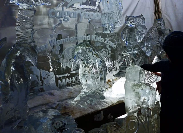 2013 Calgary Zoolights-060