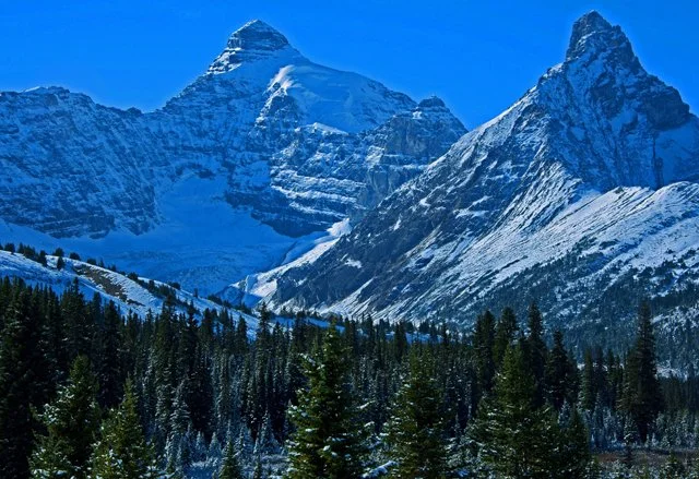 2012 Icefield Pkwy-160