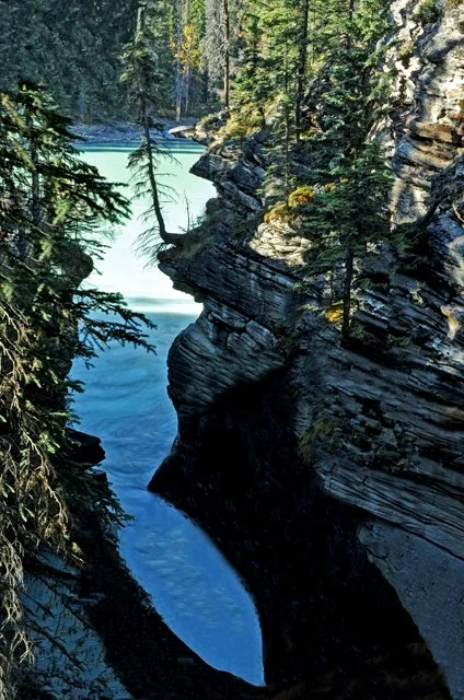 Athabasca-032.jpg