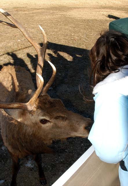 2003 Fossil Rim-076.JPG