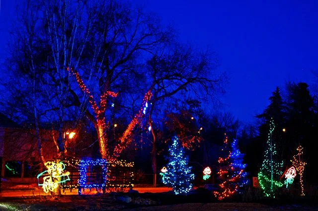 2012 Calgary Zoolights-140