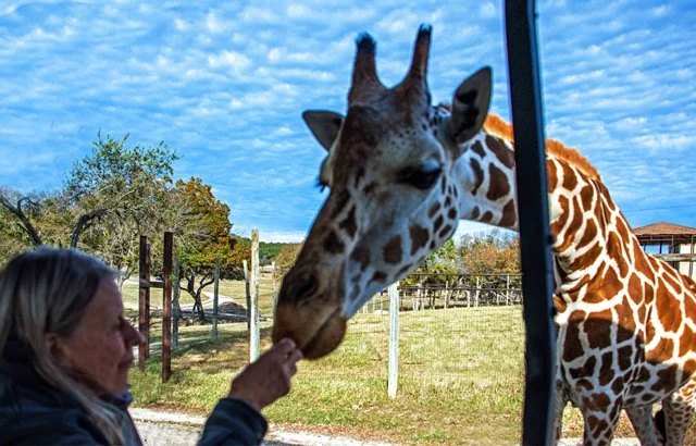 Fossil Rim-187.jpg