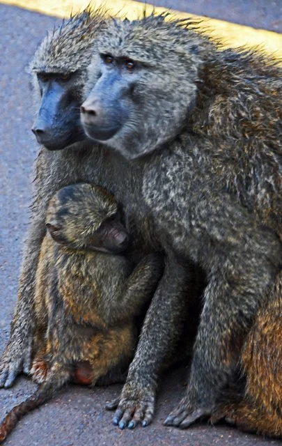 Day 06-056.jpg