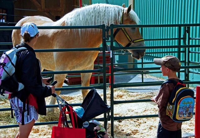 2011 Ag Displays-010