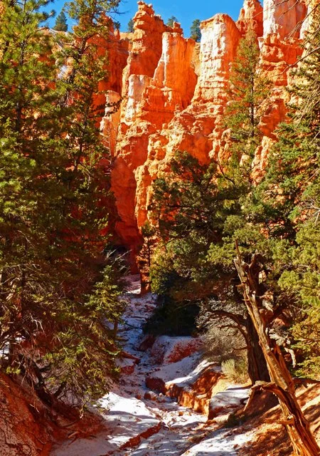 Bryce Canyon-140