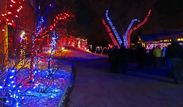 Zoolights-045.jpg