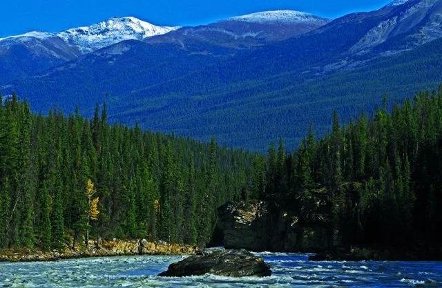 Athabasca-224.jpg