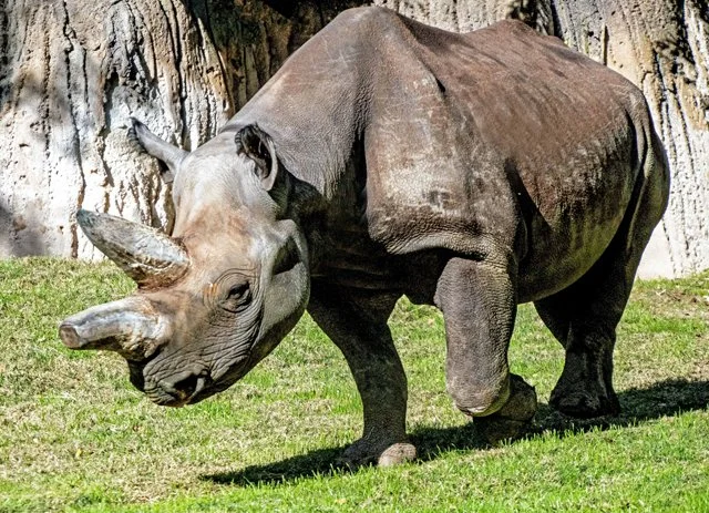FW Zoo-149.jpg