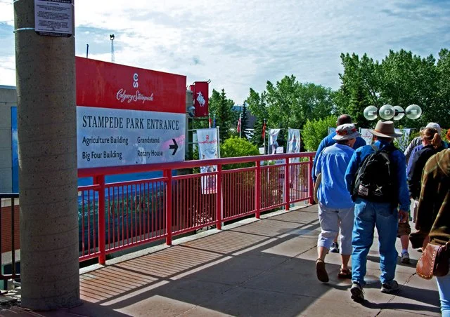 Stampede-007.jpg