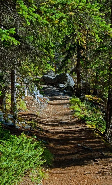 2012 Canyon Walk-400