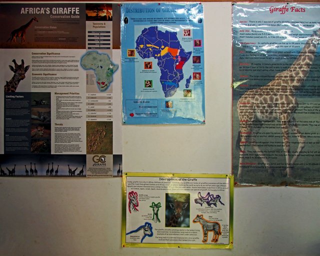 Day 02-041.jpg