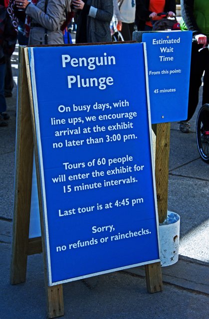 2012 Penguin Plunge-010