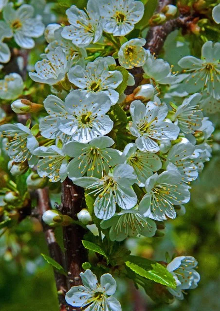 2012 Calgary Spring-050