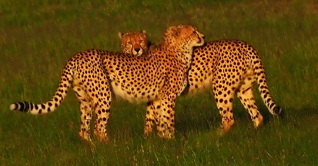 Day 10-019.jpg