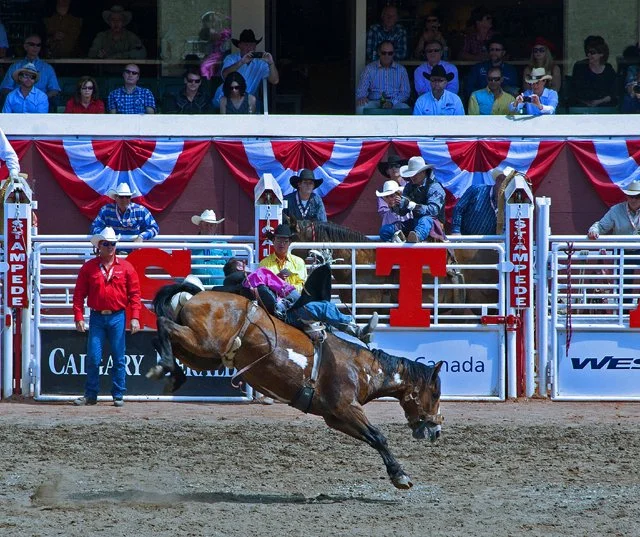 Rodeo-231.jpg